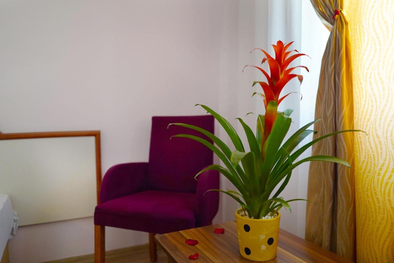 Hotel Ergun Alanya Luaran gambar